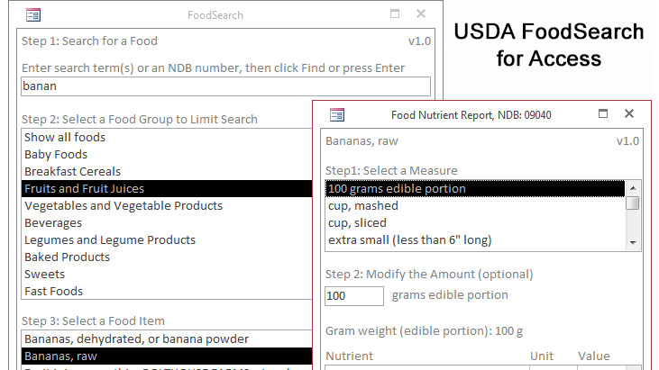 USDA Food Search for Access